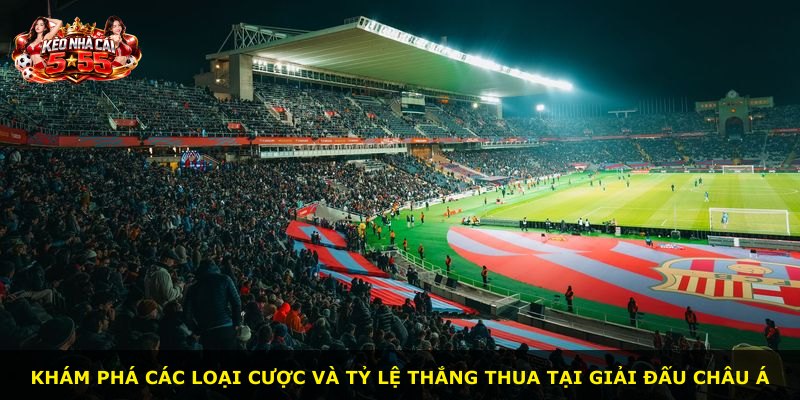 Khám phá các loại cược và tỷ lệ thắng thua tại giải đấu châu Á
