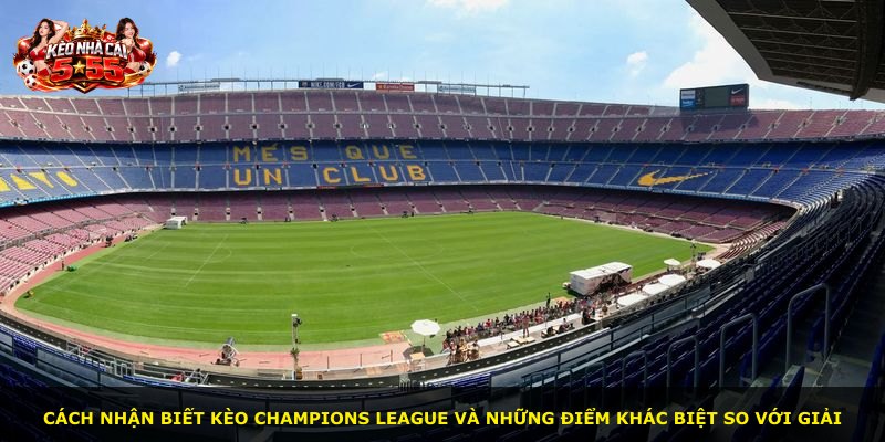 Cách nhận biết kèo Champions League và những điểm khác biệt so với giải