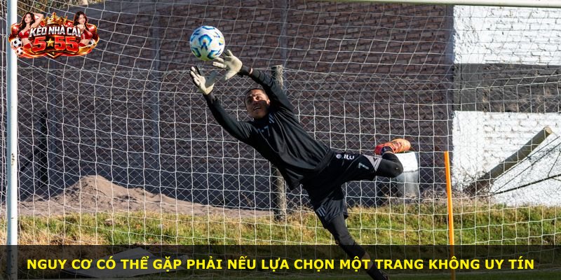 Nguy cơ có thể gặp phải nếu lựa chọn một trang không uy tín