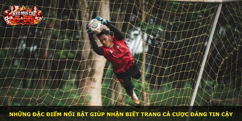 Những đặc điểm nổi bật giúp nhận biết trang cá cược đáng tin cậy