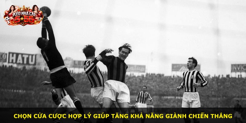 Chọn cửa cược hợp lý giúp tăng khả năng giành chiến thắng