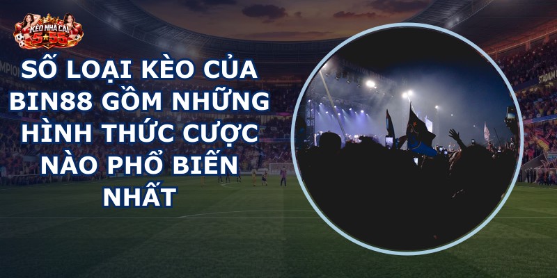 Số loại kèo của BIN88