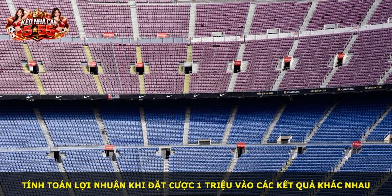 Tính toán lợi nhuận khi đặt cược 1 triệu vào các kết quả khác nhau