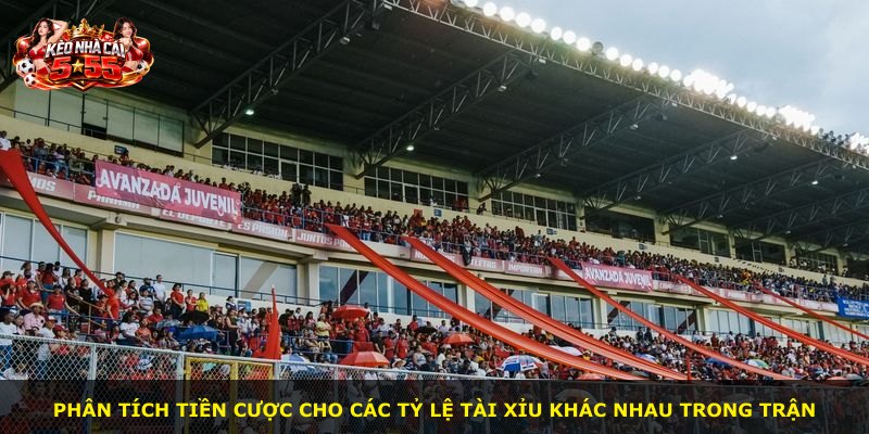 Phân tích tiền cược cho các tỷ lệ tài xỉu khác nhau trong trận
