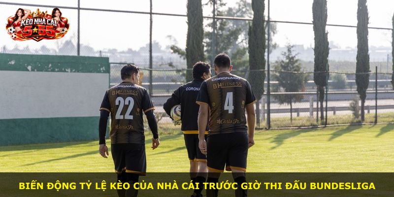 Biến động tỷ lệ kèo của nhà cái trước giờ thi đấu Bundesliga