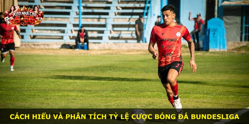 Cách hiểu và phân tích tỷ lệ cược bóng đá Bundesliga