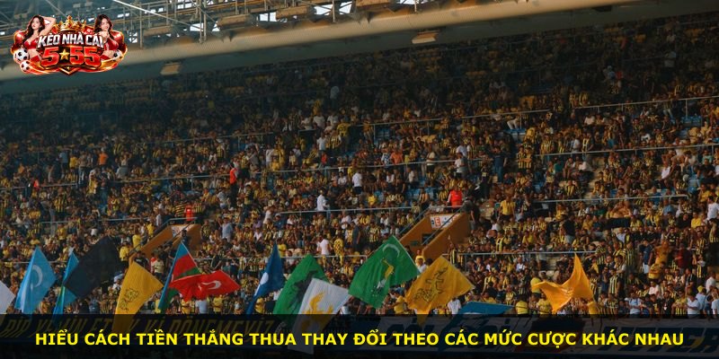 Hiểu cách tiền thắng thua thay đổi theo các mức cược khác nhau