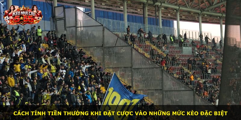 Cách tính tiền thưởng khi đặt cược vào những mức kèo đặc biệt