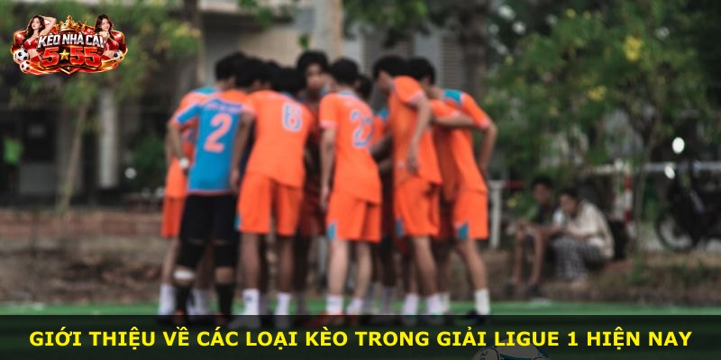 Giới thiệu về các loại kèo trong giải Ligue 1 hiện nay